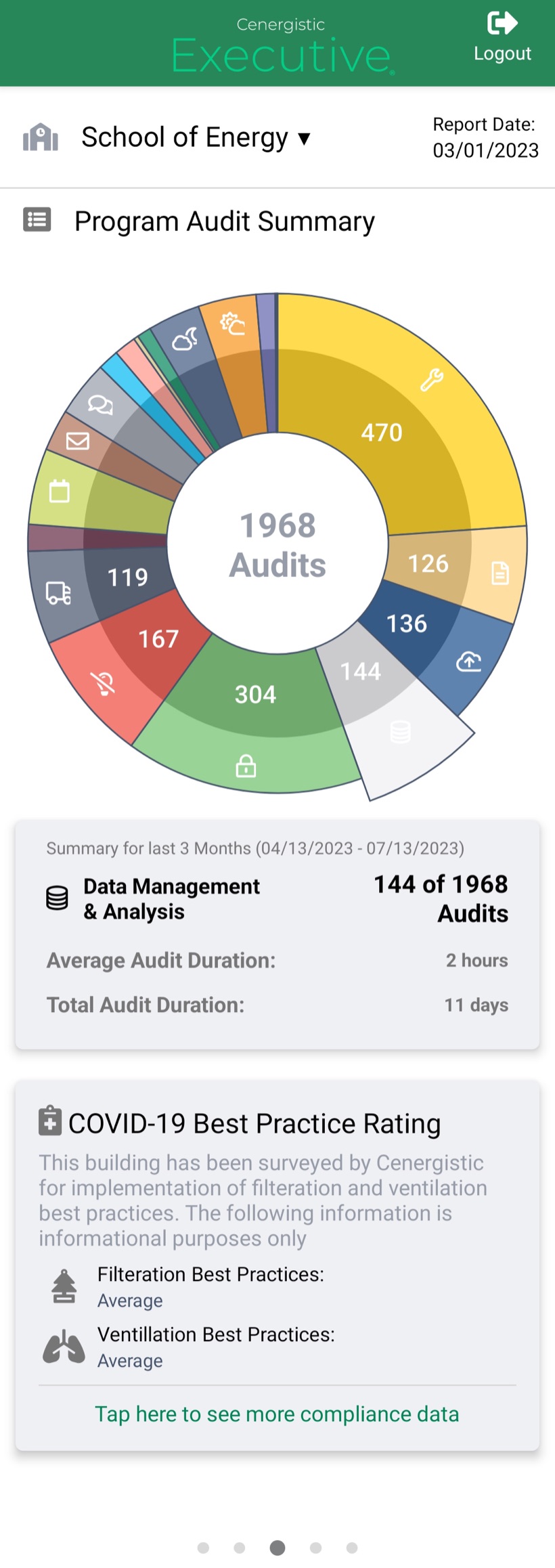 Program audit summary